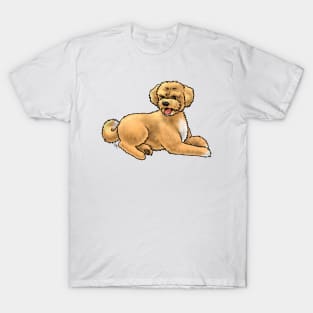 Dog - Aussiedoodle - Apricot T-Shirt